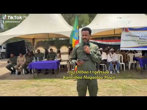 Godina Shawaa Bahaa Bulchiinsa Magaalaa Maqii Qaammee 1 Guyyaa Cichoominaa