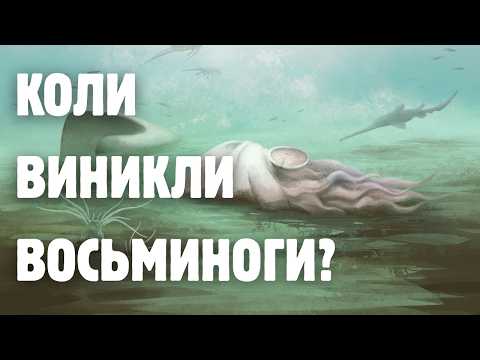 Найдавніший восьминіг на планеті – тепер не восьминіг
