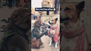 टेंशन भगाने का नया तरीका #funny #comedy #viral #AI #memes #shorts