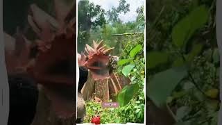 Download Lagu Safe Tree Removal in a Protected Forest MP3