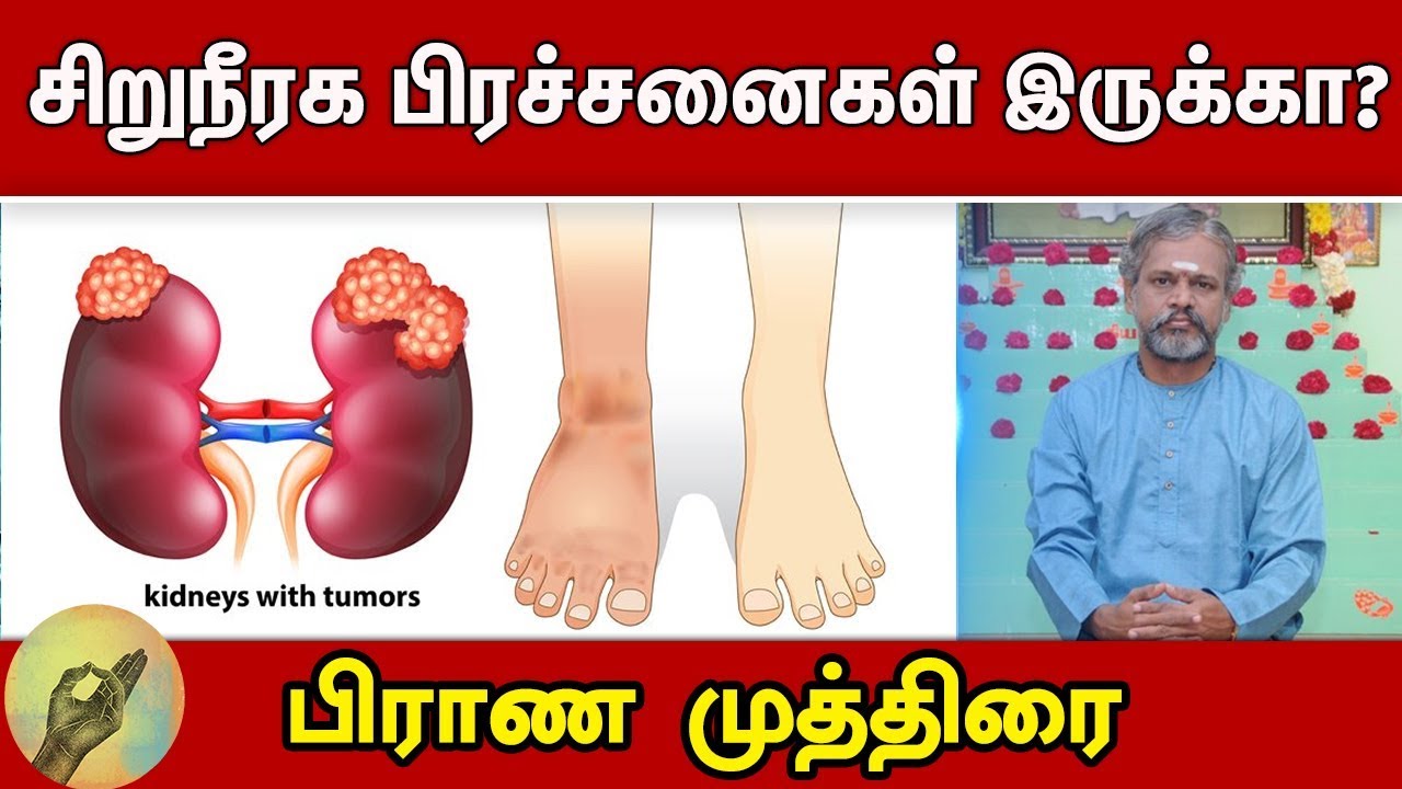 சிறுநீரக பிரச்சனைகள் இருக்கா? பிராண முத்திரையை இப்படி செய்யுங்கள் | Krishnan Balaji | Prana Mudra