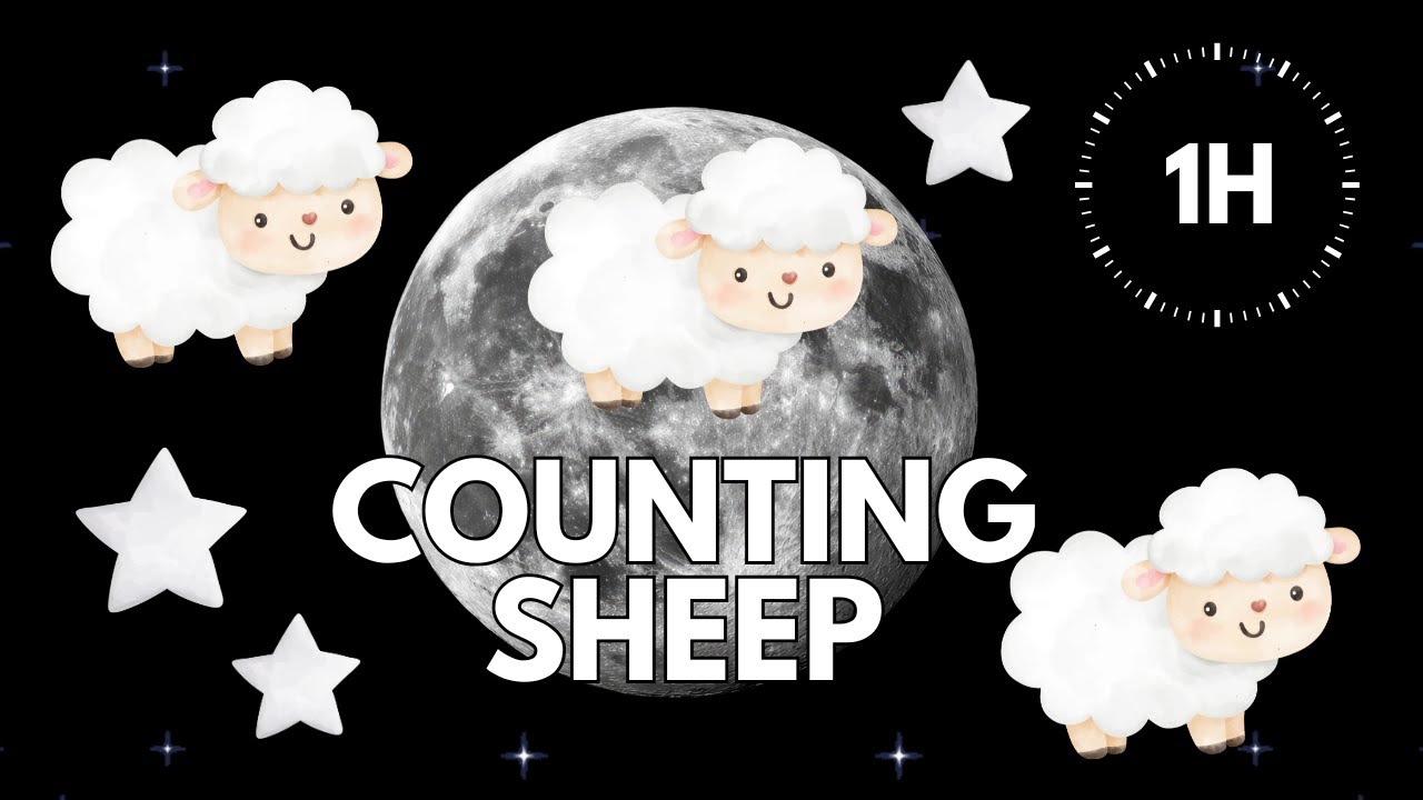 Sleep Baby Sensory | Counting Sheep | Sleep Lullaby for Babies | Aesthetic | 1 HOUR