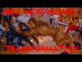 Werewolf Transformation - church scene - American werewolf in Paris HD