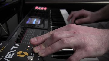 Roland FA06 Organ + Neo Mini Vent II