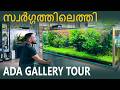 ഇത ര സ വർഗ ഗമ ണ മക കള ADA India Gallery Tour Still Water Aquatics Bangalore mp3