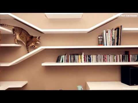 [design]-best-apartment-interior-design-ideas,-'cat-house'-1080p