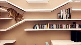 [Design] Best Apartment Interior Design Ideas, 'Cat House' 1080p screenshot 5