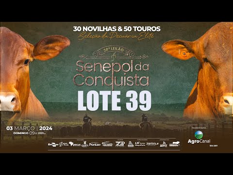 LOTE 39 CONQ 2491