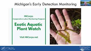 2026 CLMP Training: Exotic Aquatic Plant Watch
