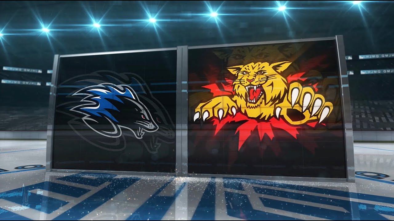 #50 Saint John Sea Dogs 7 Moncton Wildcats 5 - 04-10-2025