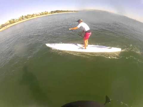 Noosa Paddle 2012 SUP.m4v