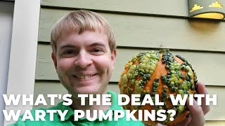 Whats The Deal With Those Warty Pumpkins?