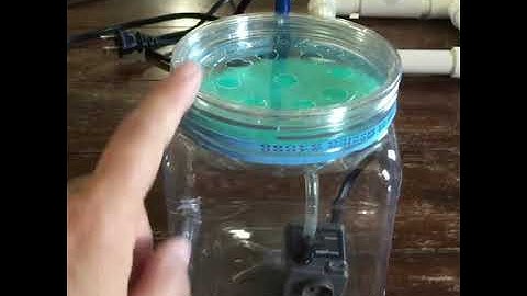 DIY Dripper for chameleons