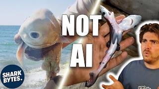 The Most Bizarre Shark Mutations Ever Recorded