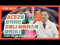 제41강:ACE2를 공격하는 코로나 바이러스에 걸렸더니