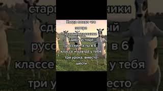 #shorts #мемы #жиза #шортс #рек #школа #огэ2023 #огэ #егэ #кострома
