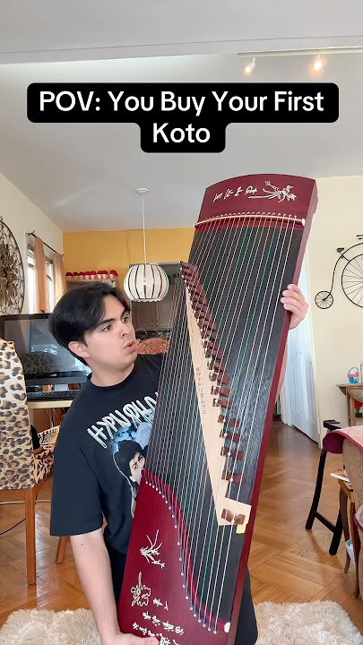 POV: You Buy Your First Koto
