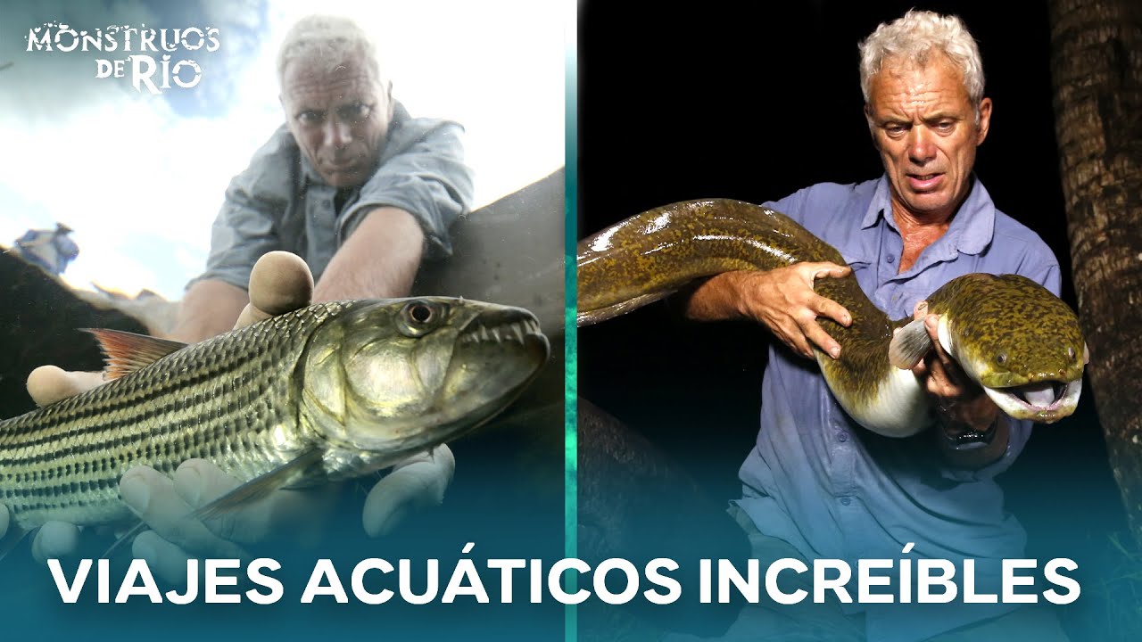 Las Capturas Más SURREALES De La Historia | T7 | Monstruos de Río