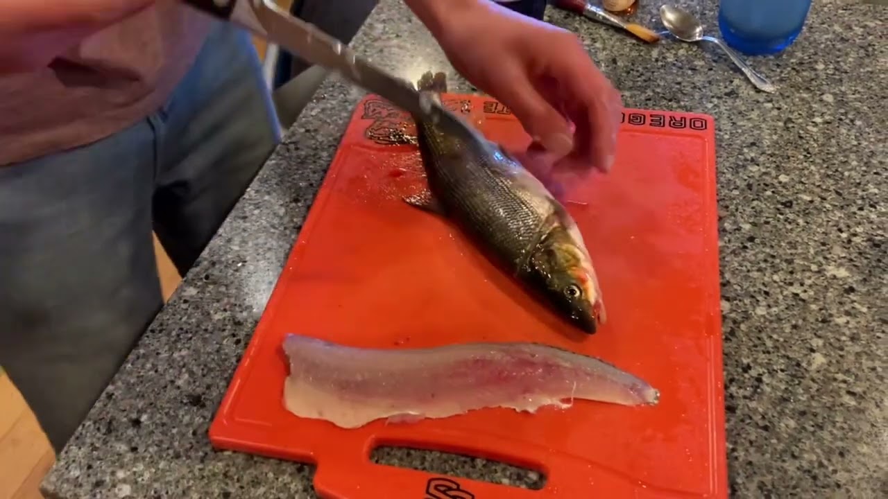 Catching and cleaning pea mouth!