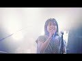 cinnamons - Live digest