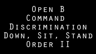 Open B - Command Discrimination #2 - NQ