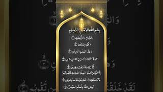 Let's Listen and Learn Surah At-Teen #tilawati354 #egzonibrahimi #surahattin​ #quran​ #shorts​#love