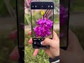 Xiaomi 15 Pro It's a China only device sadly. #xiaomi15pro