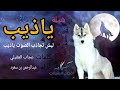 ياذيب ليش تجاذب الصوت ياذيب ياذيب ليش تجاذب الصوت ياذيب