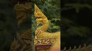 “Forgotten Creatures That Might Have Walked the Earth”#mystery #dragon #mythicalcreatures