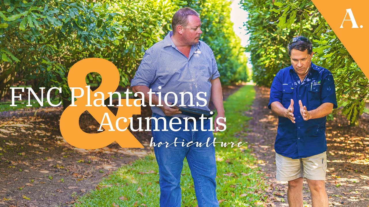 Changing from a Cane Farm to a Macadamia Orchid - FNC Plantations & Acumentis Property Valuers