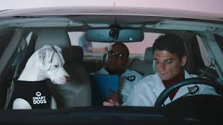 Smart Dogsgeico