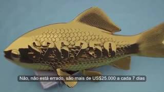 We Are Generation Young Legendado