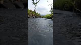 Aliran Sungai Indah#Shorts #Short #Shortvideo #Aliransungai