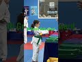 High green belt award  taekwondo yongintiger