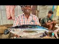 Tuna Fish Cutting Video/Fish Cutting Market