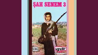 Biz Vatanın Bekçisiyiz - Şah Senem