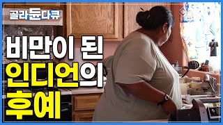 한 때 미국에서 가장 날씬한 민족으로 꼽혔던 ‘피마 인디언족’│아직까지 인디언 밀집지에 살아가는 그들의 충격적인 현재 모습│피마 인디언│다큐프라임│#골라듄다큐