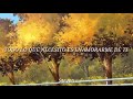 Aimer - Daisy (Sub Espa&ntilde;ol)