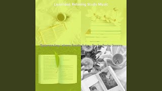 Subdued Guitar Solos - Vibe for Quiet Study Time