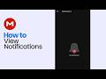 How to View Notifications on Mega