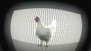 DJ Lucu Versi Ayam TECHNO CHICKEN (☆ Extended HD by Dj B'Oli Wood) by Oliver Chang ♫