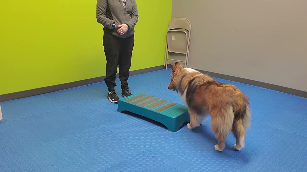 Barclay training 