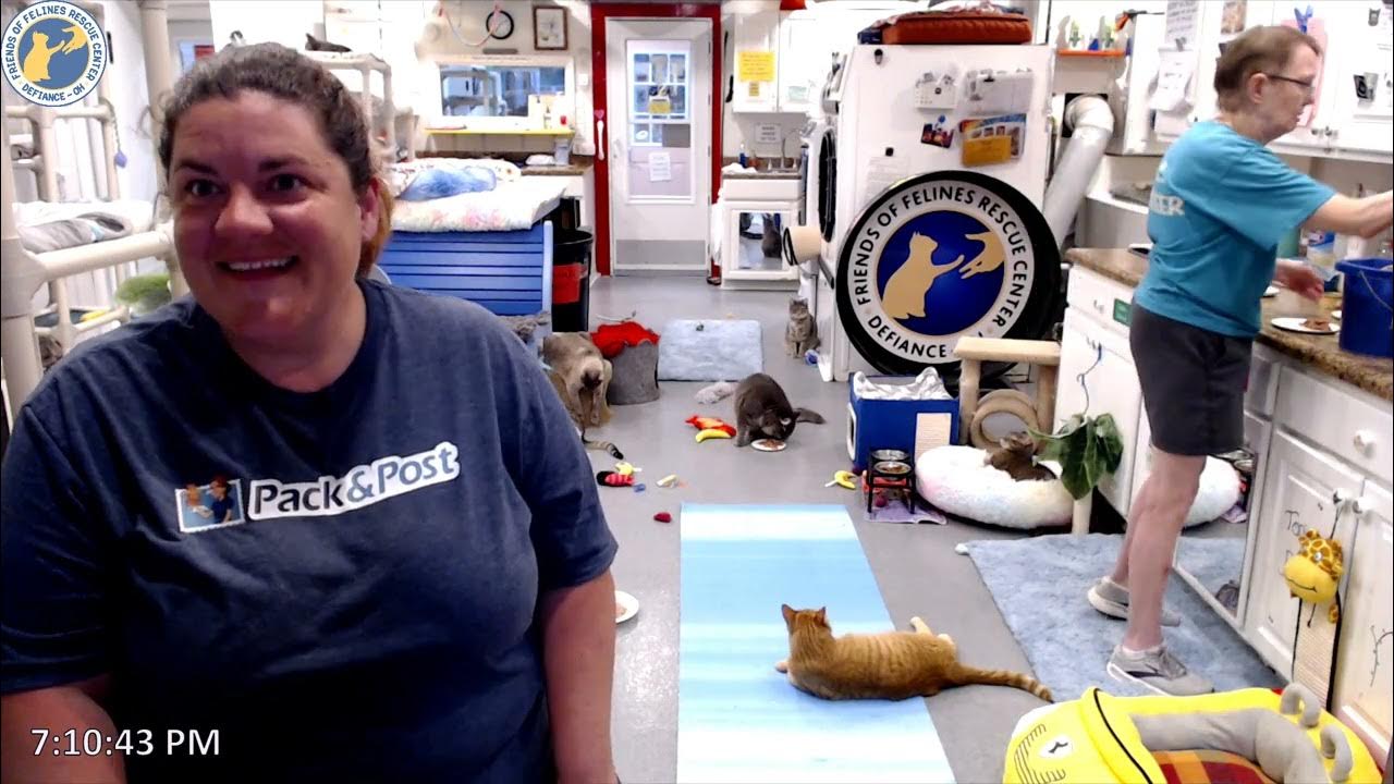 Friends Of Felines Rescue Center Live Cam Megan Cam Chat 05-19-2023 --Friends of Felines Rescue Center (FFRC