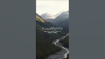 اكتب شيء تؤجر عليه | سورة العنكبوت الآية 69 القارئ علي جابر