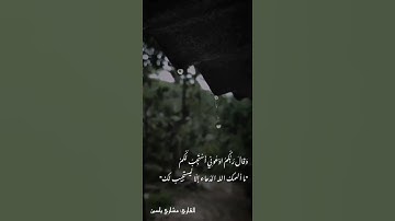 #مشاري_ياسين #ياسر_الدوسري #تلاوة #اكتب_شي_تؤجر_عليه #قرآن