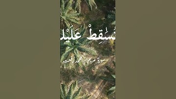 القاريء|محمد رفعت.  سوره|مريم