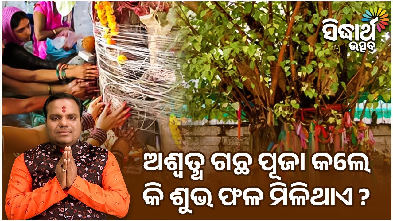 ଅଶ୍ୱତ୍ଥ ଗଛ ପୂଜା କଲେ କି ଶୁଭ ଫଳ ମିଳିଥାଏ | Jiban Jigyansha | Chitaranajan Mahapatra | Sidharth Utsav
