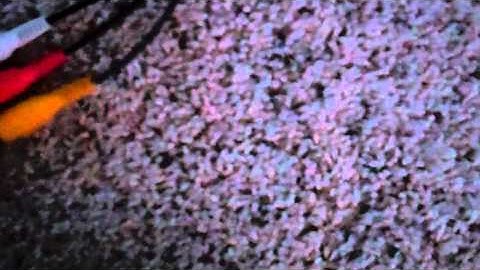 How to set up a dazzle HD to a ps3 via splitters