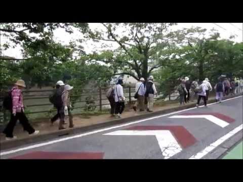 草加松原