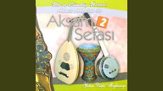 Her Gece İçiyorum